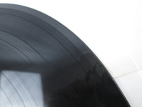 Load image into Gallery viewer, House Of Pain TB 1056 LP Vinyl
