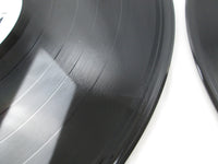 Load image into Gallery viewer, Ice-T SEALED Home Invasion P1-53858 LP Vinyl
