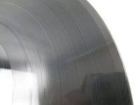 Load image into Gallery viewer, N.W.A Efil4zaggin SL 57126 LP Vinyl
