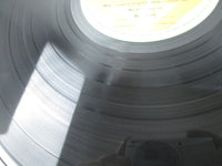 Load image into Gallery viewer, Yoninbayashi Golden Picnics SOLN-7 with OBI Japan LP Vinyl
