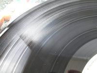 Load image into Gallery viewer, Supertramp Crisis? What Crisis? AMP-7044 with OBI Japan LP Vinyl
