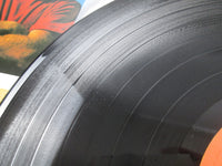 Load image into Gallery viewer, THE BEACH BOYS BEACH BOYS' GREATEST CAPITOL ECR-8170 with OBI Japan LP Vinyl
