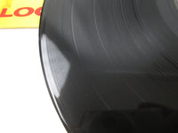 Load image into Gallery viewer, DOKKEN Under Lock And Key Elektra 960458-1 LP Vinyl
