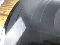 Load image into Gallery viewer, The Krewmen Into The Tomb LMLP 014 LP Vinyl
