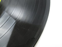 Load image into Gallery viewer, PRO-WRESTLING THEME THE GREAT FIGHTING Ⅱ UPS-669-V with OBI Japan LP Vinyl
