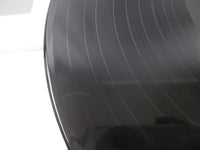 Load image into Gallery viewer, THE BEATLES Anthology 1 LP Vinyl 2017 Deagostini 724383444519
