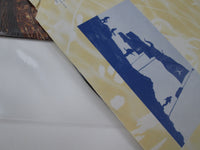 Load image into Gallery viewer, ROBERT PLANT Now And Zen 90863 Shrink Hype LP Vinyl
