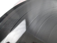 Load image into Gallery viewer, Busta Rhymes When Disaster Strikes... 62064 LP Vinyl
