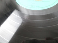 Load image into Gallery viewer, The Kinks Are The Village Green Preservation Society SP20-5029 OBI LP Vinyl
