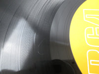 Load image into Gallery viewer, Bow Wow Wow See Jungle! Go Join Your Gang RPL-8112 with OBI Japan LP Vinyl
