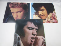 Load image into Gallery viewer, Elvis Presley Elvis Aron Presley RPL-6101~8 with Japan Hype LP Vinyl

