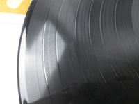 Load image into Gallery viewer, MIGUEL BOSE MADRID EPIC 25 3P-257 with OBI Pinnup Japan LP Vinyl
