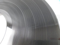 Load image into Gallery viewer, Blue Öyster Cult Tyranny And Mutation SOPL-182 Promo without OBI Japan LP Vinyl
