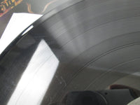 Load image into Gallery viewer, Method Man ‎Tical 523839 LP Vinyl
