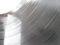 Load image into Gallery viewer, ELVIS PRESLEY THAT'S THE WAY IT IS RCA SX-61 with OBI Japan LP Vinyl
