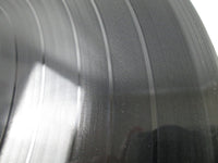 Load image into Gallery viewer, David Cassidy Cherish BLPM-1 with OBI Japan LP Vinyl
