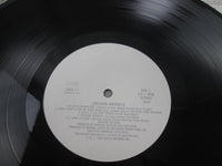 Load image into Gallery viewer, Jermaine Jackson Precious Moments Promo 28RS-11 with OBI Japan LP Vinyl
