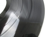 Load image into Gallery viewer, Rip Rig + Panic I Am Cold YW-7065,6-AX with OBI Japan LP Vinyl
