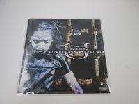 Load image into Gallery viewer, The Union Underground ...An Education In Rebellion 67778-S1 LP Vinyl
