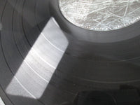 Load image into Gallery viewer, The Union Underground ...An Education In Rebellion 67778-S1 LP Vinyl
