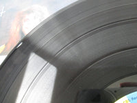 Load image into Gallery viewer, Ozzy Osbourne Diary of a Madman FZ 37492 LP Vinyl
