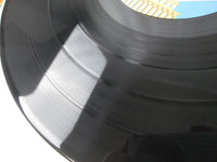 Load image into Gallery viewer, Ozzy Osbourne Diary of a Madman FZ 37492 LP Vinyl
