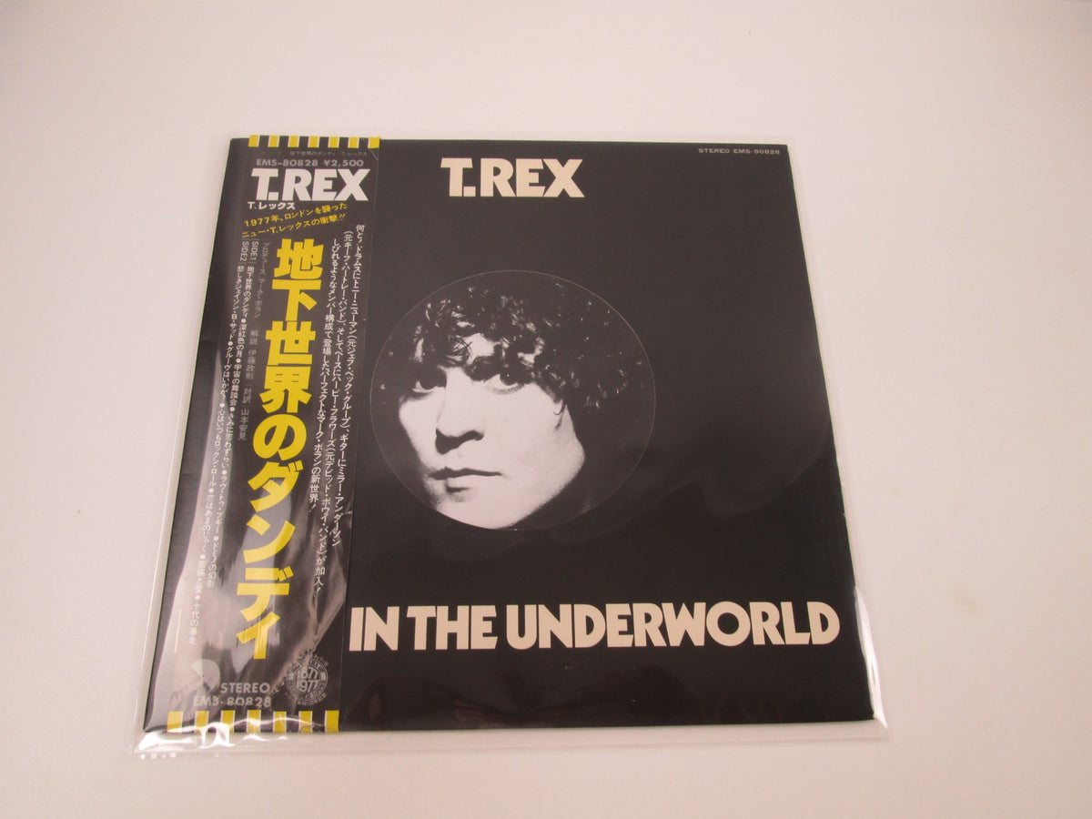 T. Rex Dandy In The Underworld Promo EMS-80828 with OBI Japan LP Vinyl