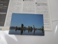 Load image into Gallery viewer, PINK FLOYD WISH YOU WERE HERE 25AP 1258 with Poster Japan LP Vinyl
