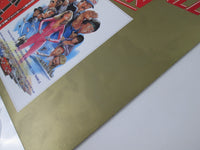 Load image into Gallery viewer, OST(RAY STEVENS) CANNONBALL RUN VIP-7329 with OBI Japan LP Vinyl
