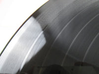 Load image into Gallery viewer, Sex Pistols Never Mind The Bollocks Here&#39;s VJL-110 with OBI Japan LP Vinyl
