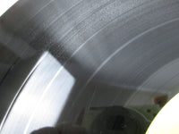 Load image into Gallery viewer, Sex Pistols Never Mind The Bollocks Here&#39;s VJL-110 with OBI Japan LP Vinyl
