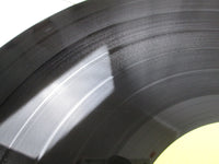 Load image into Gallery viewer, Sex Pistols Never Mind The Bollocks Here&#39;s VJL-110 with OBI Japan LP Vinyl
