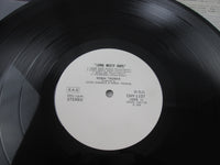 Load image into Gallery viewer, Robin Trower Long Misty Days Chrysalis CHY 1107 Promo with OBI Japan LP Vinyl
