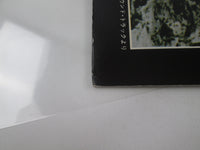 Load image into Gallery viewer, The History of Godzilla Vol.2 AS20-12 with OBI Japan LP Vinyl
