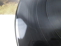 Load image into Gallery viewer, Simple Minds Empires And Dance VIP-4193 with OBI Japan LP Vinyl
