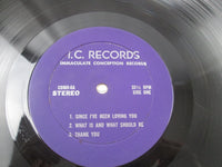 Load image into Gallery viewer, Led Zeppelin The Best Of Led Zeppelin Live In Concert LP Vinyl
