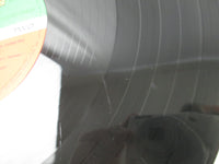 Load image into Gallery viewer, OST STAND BY ME P-13427 with OBI Japan LP Vinyl
