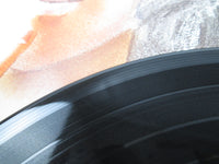 Load image into Gallery viewer, Macross Do you Remenber Love OST JBX-25049 with OBI Japan LP Vinyl
