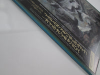 Load image into Gallery viewer, JAPAN OIL ON CANVAS VIP-6,7 with OBI Japan LP Vinyl
