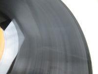 Load image into Gallery viewer, Led Zeppelin In The Evening LP Vinyl
