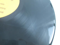 Load image into Gallery viewer, Led Zeppelin In The Evening LP Vinyl
