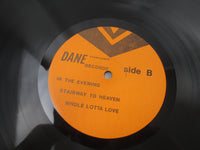 Load image into Gallery viewer, Led Zeppelin In The Evening LP Vinyl
