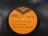 Load image into Gallery viewer, Led Zeppelin In The Evening LP Vinyl
