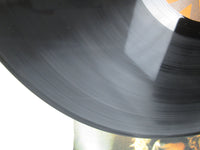 Load image into Gallery viewer, Led Zeppelin In The Evening LP Vinyl
