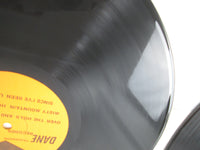 Load image into Gallery viewer, Led Zeppelin In The Evening LP Vinyl
