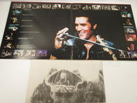 Load image into Gallery viewer, ELVIS PRESLEY THIS IS ELVIS RCA RPL-3008,9 Japan LP Vinyl
