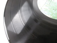 Load image into Gallery viewer, DEEP PURPLE 24 CARAT PURPLE WB P-10029W with OBI Japan LP Vinyl
