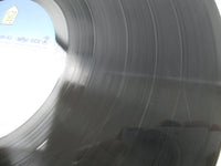 Load image into Gallery viewer, Anri Timely!! For Life 28K-63 with OBI Japan LP Vinyl
