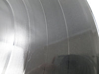 Load image into Gallery viewer, DOKKEN BREAKING THE CHAINS ELEKTRA P-13103 with OBI Japan LP Vinyl
