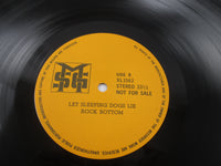 Load image into Gallery viewer, Michael Schenker Group Damage Control LP Vinyl
